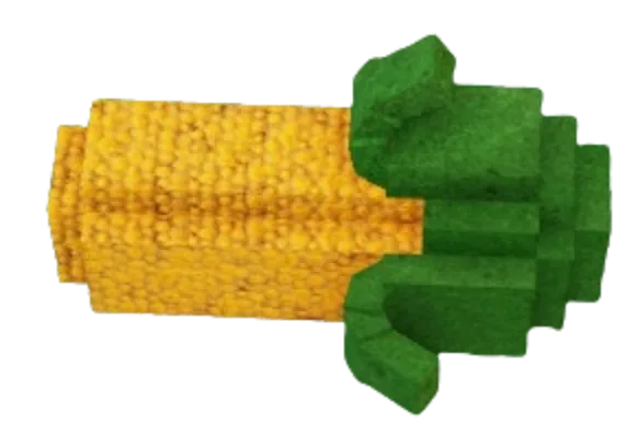 ฝักข้าวโพด Corn สีเหลืองที่ยังมีเปลือกสีเขียว