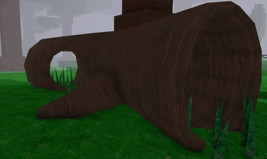 Fallen Log ท่อนไม้ล้มขนาดใหญ่ กลวงเป็นช่องที่มองทะลุได้