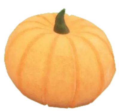 ฟักทอง Pumpkin สีส้มทรงกลมและขั้วสีน้ำตาล