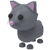 Cat — แมวสีเทา หูด้านในสีชมพู