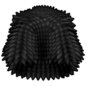 ลักษณะของ Black Spikey Coat ใน Blox Fruits