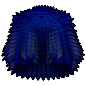 ลักษณะของ Blue Spikey Coat ใน Blox Fruits