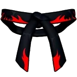 ลักษณะของ Dojo Belt (Black) ใน Blox Fruits
