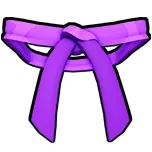 ลักษณะของ Dojo Belt (Purple) ใน Blox Fruits