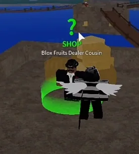 ลักษณะ NPC Blox Fruits Dealer Cousin ในเกม Blox Fruits