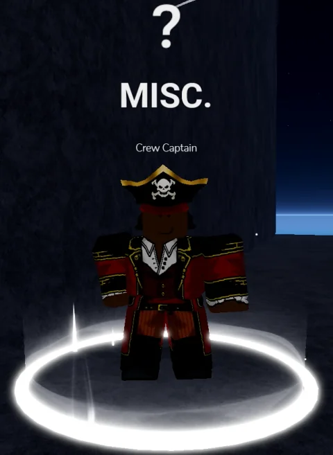 ลักษณะ NPC Crew Captain ในเกม Blox Fruits