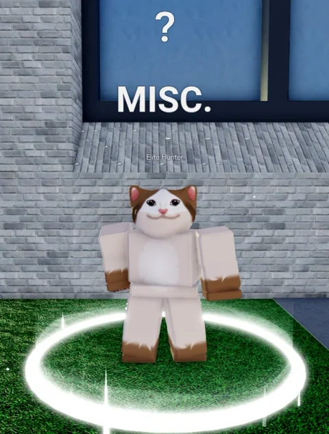 ลักษณะ NPC Elite Hunter ในเกม Blox Fruits