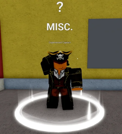 ลักษณะ NPC Experienced Captain ในเกม Blox Fruits