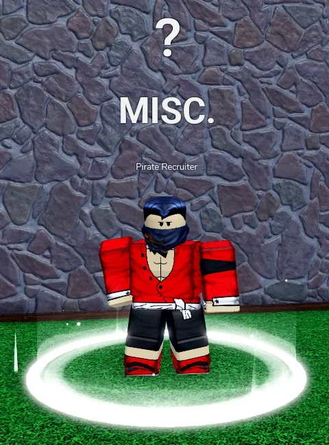 ลักษณะ NPC Pirate Recruiter ในเกม Blox Fruits