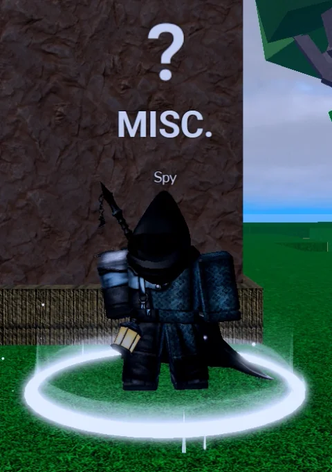 ลักษณะ NPC Spy ในเกม Blox Fruits