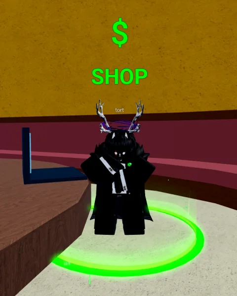 ลักษณะ NPC tort ในเกม Blox Fruits