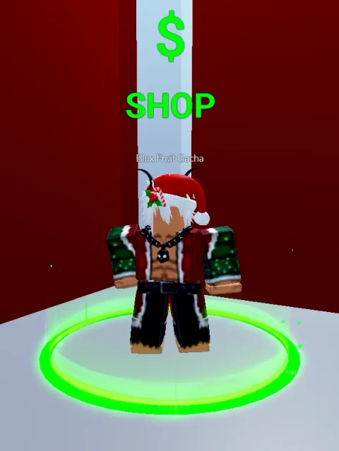 ลักษณะ NPC Winter Gacha ในเกม Blox Fruits