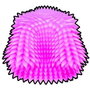 ลักษณะของ Pink Coat ใน Blox Fruits