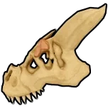 ลักษณะของ T-Rex Skull ใน Blox Fruits