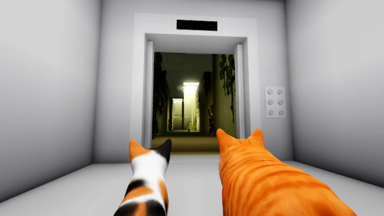 ภาพทางการ Kitten Game แมวสองตัวมองโถงลิฟต์ · โปสเตอร์ Event Home Again🏠 · 314095306180133484