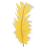 Feather — ภาพรายการจากคลังทางการ Adopt Me