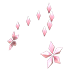 Flower Aura — ภาพรายการจากคลังทางการ Adopt Me