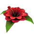 Forgotten Flower — ภาพรายการจากคลังทางการ Adopt Me