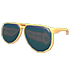 Gold Aviators — ภาพรายการจากคลังทางการ Adopt Me