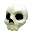 Halloween White Skull Hat — ภาพรายการจากคลังทางการ Adopt Me