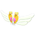 Magic Girl Wings — ภาพรายการจากคลังทางการ Adopt Me