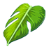 Monstera Leaf Cape — ภาพรายการจากคลังทางการ Adopt Me