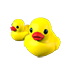 Rubber Ducks — ภาพรายการจากคลังทางการ Adopt Me