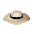 Summer Walrus Sunhat — ภาพรายการจากคลังทางการ Adopt Me