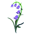 Bluebell Flower — ภาพรายการจากคลังทางการ Adopt Me