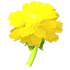 Golden Dandelion — ภาพรายการจากคลังทางการ Adopt Me