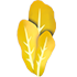 Golden Lettuce — ภาพรายการจากคลังทางการ Adopt Me
