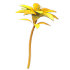 Golden Petunia — ภาพรายการจากคลังทางการ Adopt Me