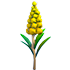 Goldenrod Flower — ภาพรายการจากคลังทางการ Adopt Me