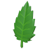 Leaf — ภาพรายการจากคลังทางการ Adopt Me