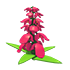 Snapdragon Flower — ภาพรายการจากคลังทางการ Adopt Me