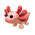 Axolotl — ภาพรายการจากคลังทางการ Adopt Me