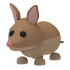 Bandicoot — ภาพรายการจากคลังทางการ Adopt Me