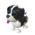 Black Springer Spaniel — ภาพรายการจากคลังทางการ Adopt Me