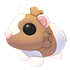 Chocolate Dutch Guinea Pig — ภาพรายการจากคลังทางการ Adopt Me