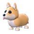 Corgi — ภาพรายการจากคลังทางการ Adopt Me