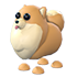 Pomeranian — ภาพรายการจากคลังทางการ Adopt Me