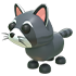 Raccoon — ภาพรายการจากคลังทางการ Adopt Me