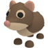 Shrew — ภาพรายการจากคลังทางการ Adopt Me