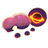Singularity Beetle — ภาพรายการจากคลังทางการ Adopt Me