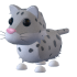 Snow Leopard — ภาพรายการจากคลังทางการ Adopt Me