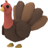 Turkey — ภาพรายการจากคลังทางการ Adopt Me