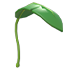 Banana Leaf Balloon — ภาพรายการจากคลังทางการ Adopt Me