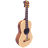 Camper's Guitar — ภาพรายการจากคลังทางการ Adopt Me