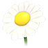 Daisy Flower — ภาพรายการจากคลังทางการ Adopt Me
