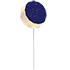 Eclipse Balloon — ภาพรายการจากคลังทางการ Adopt Me